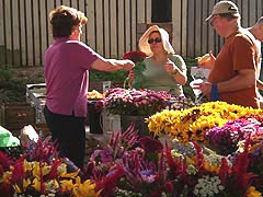 [photo, Baltimore Farmers' Market, Holliday St. and Saratoga St., Baltimore, Maryland]