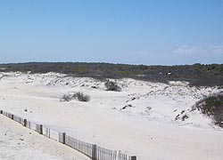 [photo, Assateague Island National Park Seashore (Worcester County), Maryland]