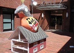 [photo, Energy Chick, 60 West St., Annapolis, Maryland]