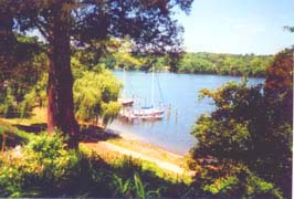 [photo, St. Leonard's Creek, Calvert County, Maryland]