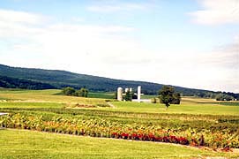 [photo, Farmland, Catoctin (Washington County), Maryland]